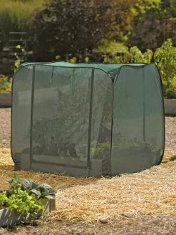 Pest Control Pop-Ups 13 Pest Control Pop-Ups -Gardenhaus Shop 8587859 026 tif