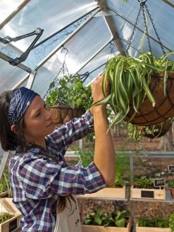 Canopia® By Palram Balance Greenhouse, 8' X 12' -Gardenhaus Shop 8588023 07V jpg