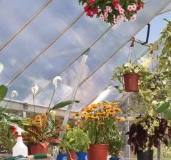 Canopia® By Palram Balance Greenhouse, 8' X 12' -Gardenhaus Shop 8588023 20V jpg