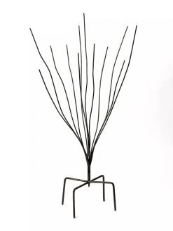 Bottle Bush -Gardenhaus Shop 8588047 0697