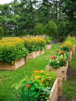 Farmstead Cedar Raised Garden Beds, 2' 13 Farmstead Cedar Raised Garden Beds, 2' -Gardenhaus Shop 8588137 05V tif
