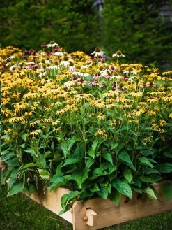 Farmstead Cedar Raised Garden Beds, 2' 17 Farmstead Cedar Raised Garden Beds, 2' -Gardenhaus Shop 8588144 014V tif