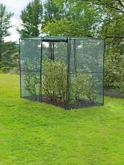 Crop Cage, 4' X 8' -Gardenhaus Shop 8589160 002 tif