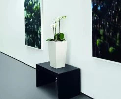 Lechuza® Cubico Color Tall Self-Watering Planters -Gardenhaus Shop 8589485 03V tif