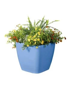 Viva Square Self-Watering Rolling Planter, 14" Diameter -Gardenhaus Shop 8589777BL 6080 tif