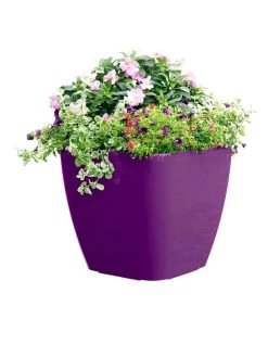 Viva Square Self-Watering Rolling Planter, 17.5" Diameter -Gardenhaus Shop 8589778PR 6126 tif