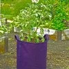 Gardener's Best® Potato Grow Bag -Gardenhaus Shop 8589785PR 4191 potato grow bags with handles tif
