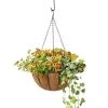 AquaSav™ Oxford Hanging Basket, 14" -Gardenhaus Shop 8589789 028 tif