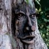 Friendly Ent Tree Face