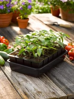 Growease Seed Starter Kit -Gardenhaus Shop 8589987 1148 tif