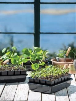 Growease Seed Starter Kit -Gardenhaus Shop 8589987 7871 tif