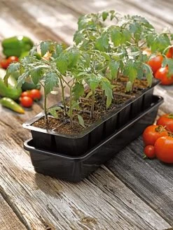 Growease Seed Starter Kit -Gardenhaus Shop 8589988 1056 tif