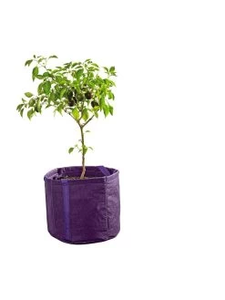 Gardener's Best® Universal Grow Bag -Gardenhaus Shop 8590024PR 249 tif