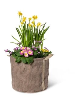 Gardener's Best® Universal Grow Bag -Gardenhaus Shop 8590024 7307 tif