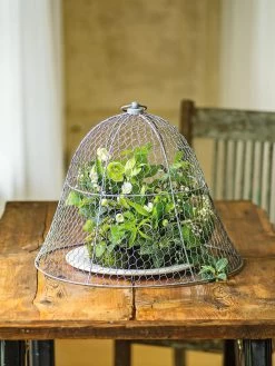 Chicken Wire Cloche 19 Chicken Wire Cloche -Gardenhaus Shop 8590210 1 tif