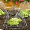 Chicken Wire Cloche