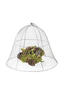 Chicken Wire Cloche 20 Chicken Wire Cloche -Gardenhaus Shop 8590210 675 tif