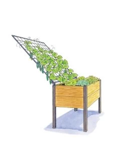 Space-Maker Pivoting Trellis, 4' 8 Space-Maker Pivoting Trellis, 4' -Gardenhaus Shop 8590247 SMTrellis 4ft tif