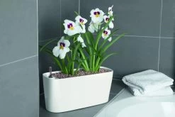 Lechuza® Delta Self-Watering Windowsill Planters -Gardenhaus Shop 8590298 01V tif