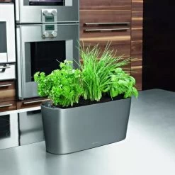 Lechuza® Delta Self-Watering Windowsill Planters -Gardenhaus Shop 8590298 02V tif