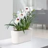 Lechuza® Delta Self-Watering Windowsill Planters -Gardenhaus Shop 8590298 03V tif