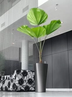 Lechuza® Delta Premium Self-Watering Planters -Gardenhaus Shop 8590299 02V tif