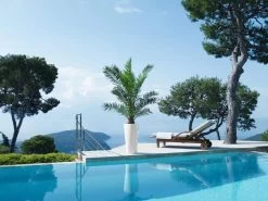 Lechuza® Delta Premium Self-Watering Planters -Gardenhaus Shop 8590299 04V tif