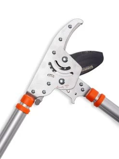 Telescoping Ratchet Loppers -Gardenhaus Shop 8591285 025 tif