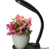 Agrobrite Desktop Plant Light 2 Agrobrite Desktop Plant Light -Gardenhaus Shop 8592052 1704z hydrofarm cfl grow light flexible neck adjustable height