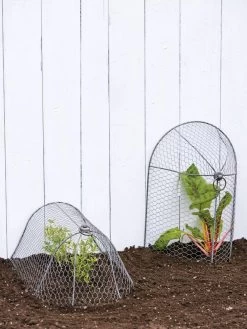 3-in-1 Chicken Wire Cloche -Gardenhaus Shop 8592117 0188 tif