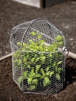 Gardenhaus Shop -Gardenhaus Shop 8592117 1465 tif