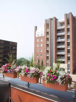 Adjustable Self-Watering Railing Planter, 24" -Gardenhaus Shop 8592173TC 2383 tif