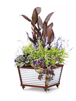 Galvanized Self-Watering Planters -Gardenhaus Shop 8592176 5067 tif