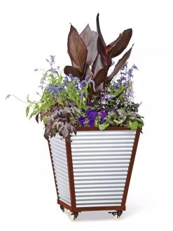 Galvanized Self-Watering Planters -Gardenhaus Shop 8592177 5066 tif