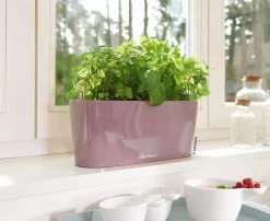 Lechuza® Delta Self-Watering Windowsill Planters -Gardenhaus Shop 8592361 01V tif
