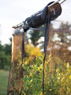 Storm Proof Crop Cage, Large -Gardenhaus Shop 8592463 115 tif