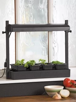 Micro Grow Light Garden -Gardenhaus Shop 8593235 2304 tif