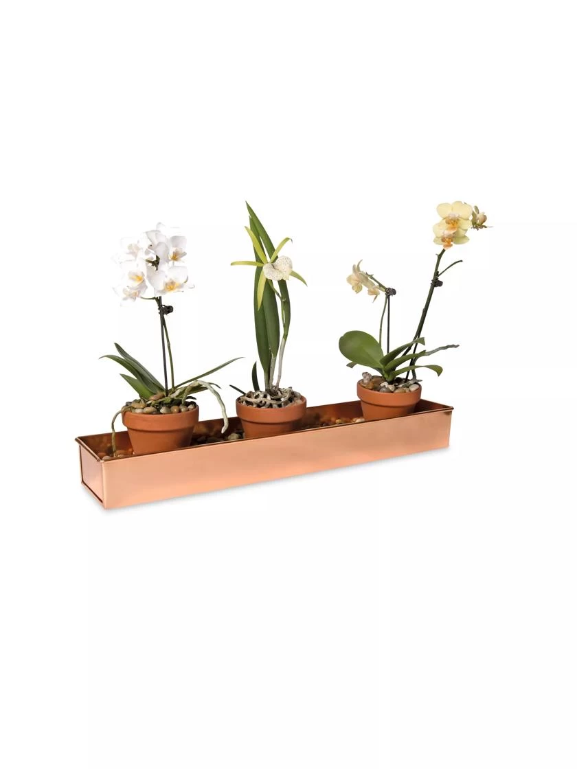 Rectangular Copper Plant Tray, 18"x4" 4 Rectangular Copper Plant Tray, 18"x4" - Image 2