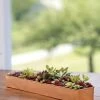 Rectangular Copper Plant Tray, 18"x4" -Gardenhaus Shop 8593532 4632 tif
