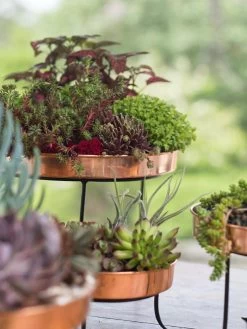 Small Round Copper Plant Tray, 10" 8 Small Round Copper Plant Tray, 10" -Gardenhaus Shop 8593564 4399 tif