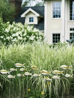 Fish Out Of Water Garden Stakes, Set Of 5 -Gardenhaus Shop 8593672 9124 tif