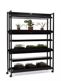 High Intensity 3-Tier SunLite® Garden -Gardenhaus Shop 8593944 1608 tif