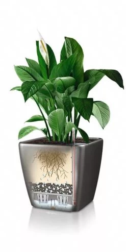 Lechuza® Quadro LS Premium Self-Watering Square Planters -Gardenhaus Shop 8594096 05V tif