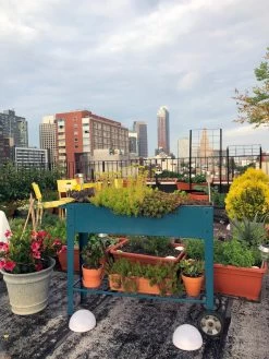 Demeter Mobile Planter Cart -Gardenhaus Shop 8594148 01CUST tif