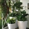 Dot TruDrop Self-Watering Planters 2 Dot TruDrop Self-Watering Planters -Gardenhaus Shop 8594176 001V tif