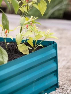 Demeter Corrugated Metal Raised Bed, 34" X 68" -Gardenhaus Shop 8594183 470 tif