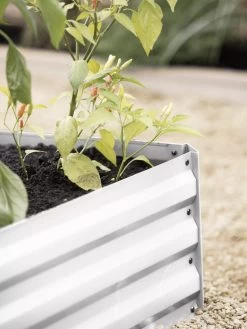 Demeter Corrugated Metal Raised Bed, 34" X 68" -Gardenhaus Shop 8594183 570 tif