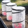 Tomato TLC Kits, Set Of 3 -Gardenhaus Shop 8594214 0183 tif