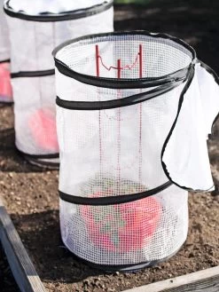 Tomato TLC Kits, Set Of 3 8 Tomato TLC Kits, Set Of 3 -Gardenhaus Shop 8594214 0186 tif