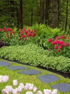 Recycled Rubber Flagstone Stepping Stone -Gardenhaus Shop 8594282 518 tif